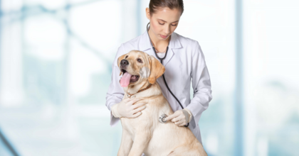 Blue River PetCare